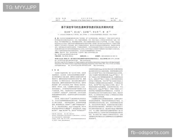 干扰球国际规则差异的具体条文深度解析